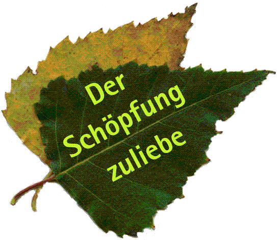 Symbolbild Bayerische Evangelische Umweltstiftung
